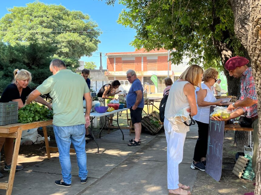 Buena concurrencia de vecinos en feria huertera del Centro II