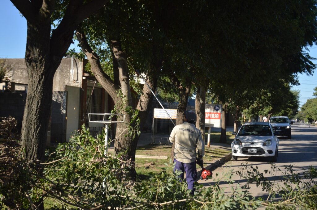 Personal municipal desarrolló tareas de poda, desmalezado y limpieza en distintas arterias y plazas