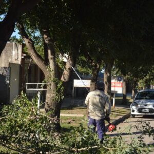 Personal municipal desarrolló tareas de poda, desmalezado y limpieza en distintas arterias y plazas