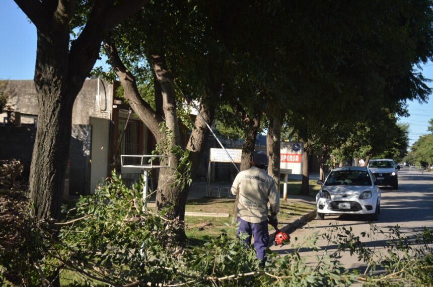 Personal municipal desarrolló tareas de poda, desmalezado y limpieza en distintas arterias y plazas