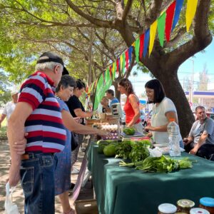 Producción de calidad: otro miércoles de Feria Huertera en plaza Italia