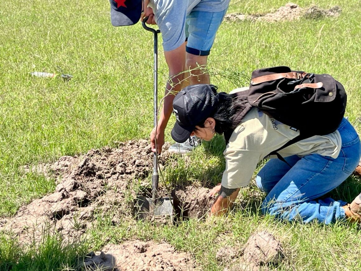 Obra en avance: se plantarán 400 árboles nuevos en el Parque Municipal