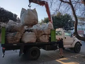 Recolección de residuos verdes- Zona 4