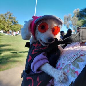 Encuentro familiar: plaza Italia colmada para participar del festival del Día del Animal