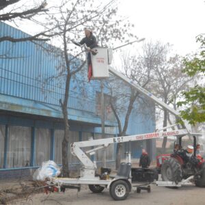 El Gobierno Municipal intensifica los trabajos de mantenimiento y poda en el arbolado público