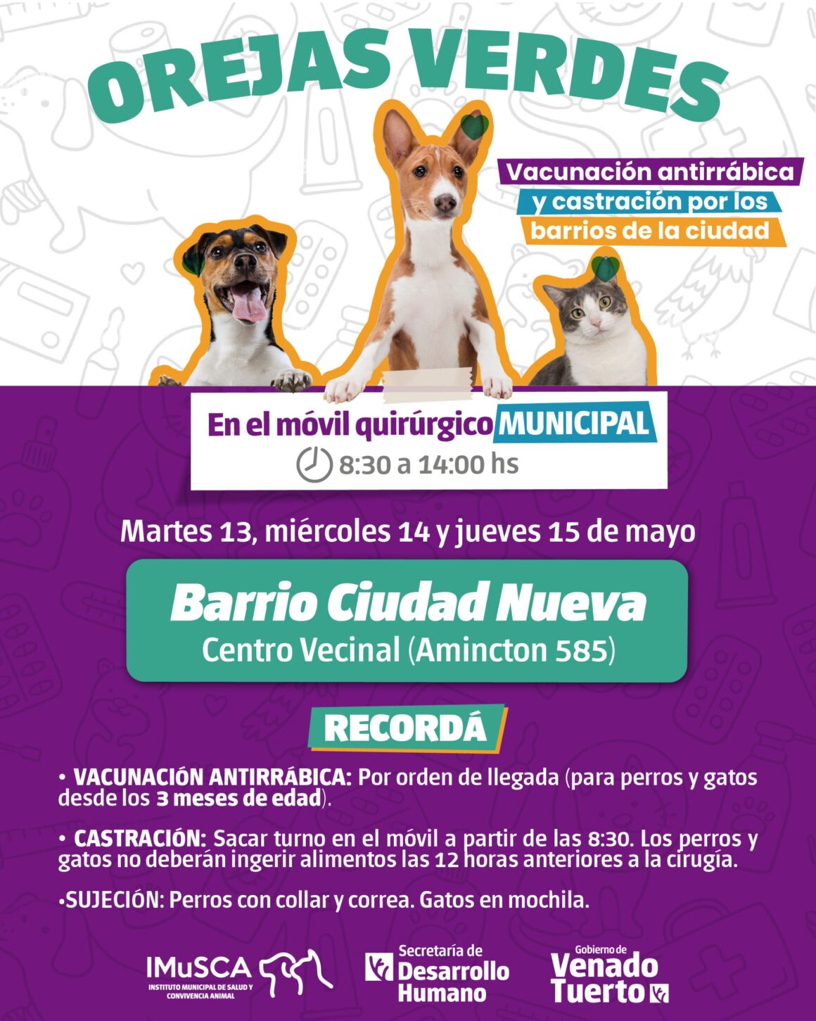 Servicio municipal: El programa “Orejas Verdes” llega a la vecinal del Ciudad Nueva