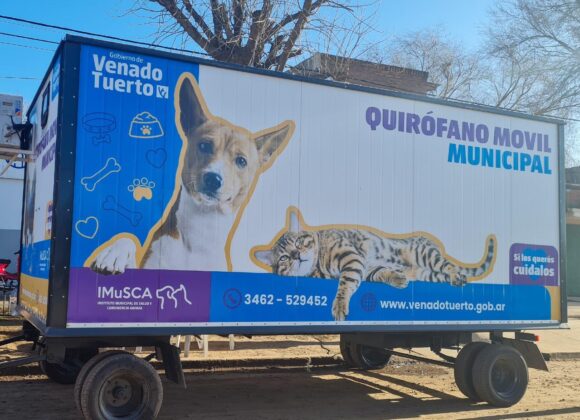 Triple jornada del programa Orejas Verdes en barrio Iturbide
