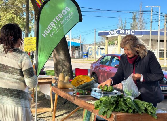 “Huerteros en tu Barrio” abre junio en la plaza Rosario Vera Peñaloza