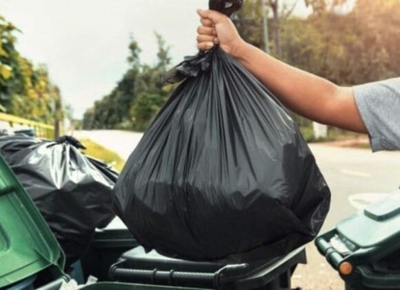En el Día Mundial del Medio Ambiente, se suman los jueves a la Recolección Diferenciada