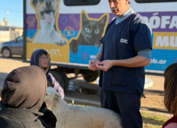 Salud animal: exitosas jornadas del programa “Orejas Verdes” en el barrio Iturbide