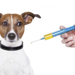 “Orejas Verdes” vuelve al barrio Gutiérrez con servicios de salud animal