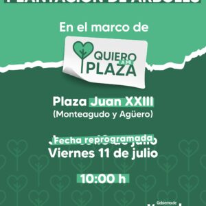 “Quiero a mi Plaza”: Este viernes se plantarán 12 árboles en la plaza Juan XXIII