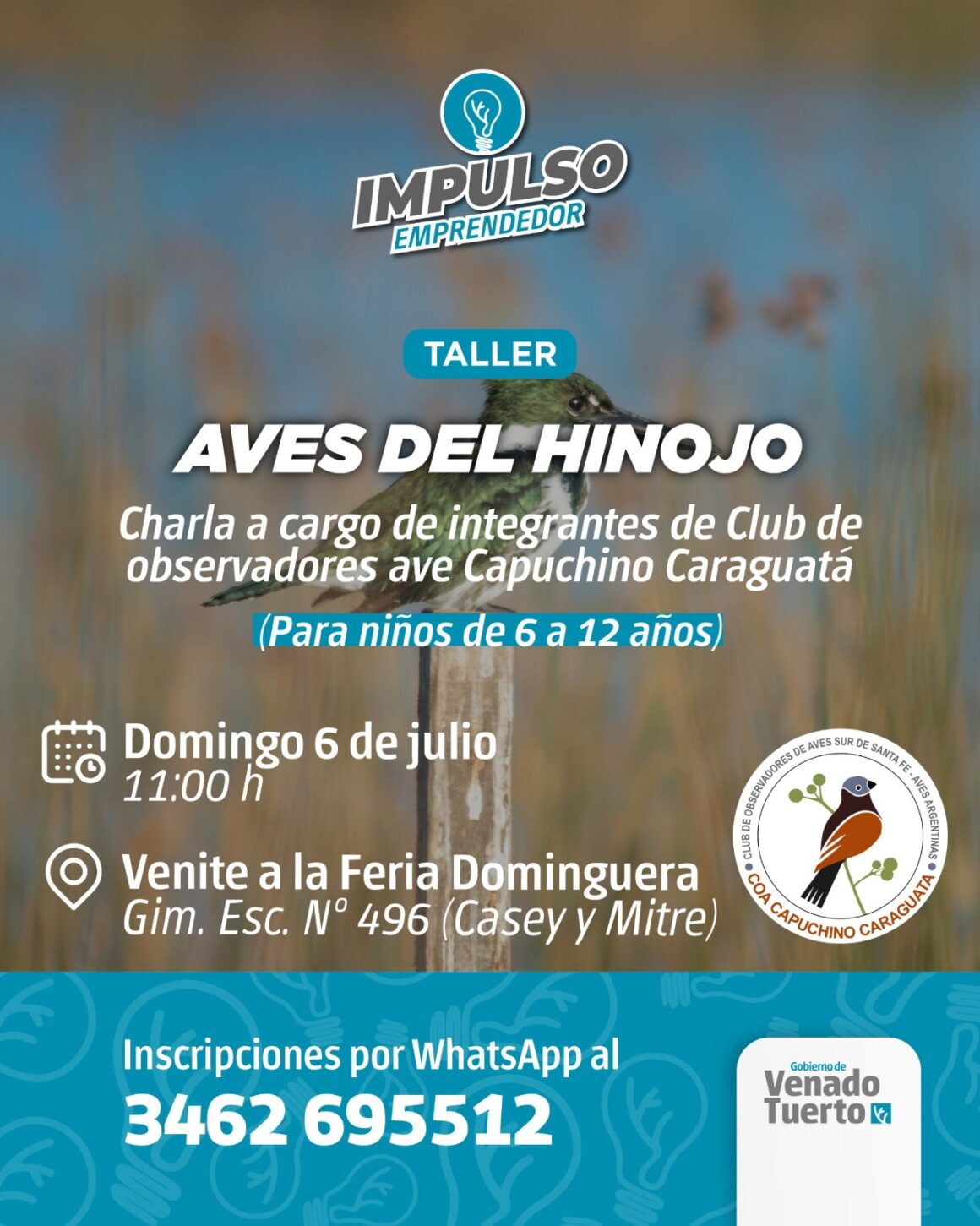 Taller para infancias sobre aves de El Hinojo en el “Venite a la Feria Dominguera”