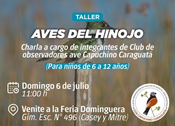 Taller para infancias sobre aves de El Hinojo en el “Venite a la Feria Dominguera”