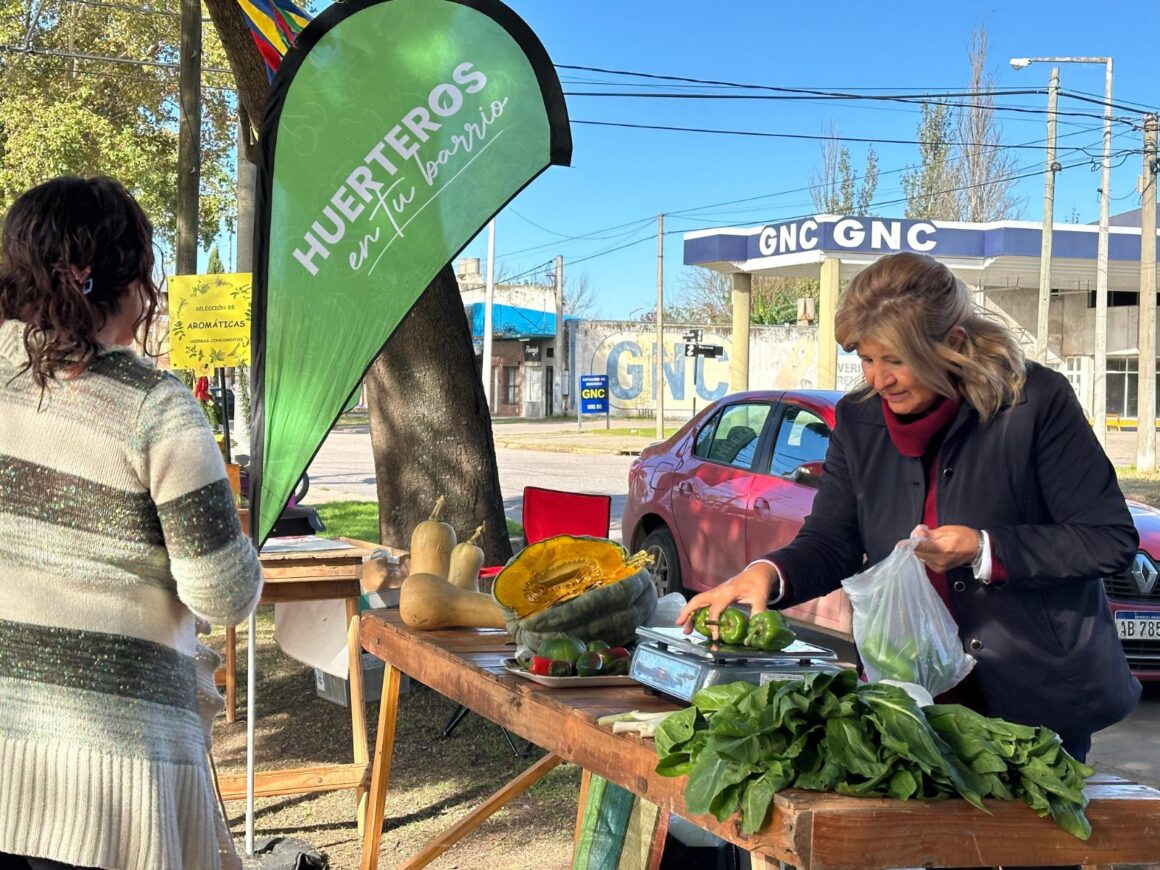 Feria de miércoles: los “Huerteros en tu Barrio” vuelven a la plaza Italia