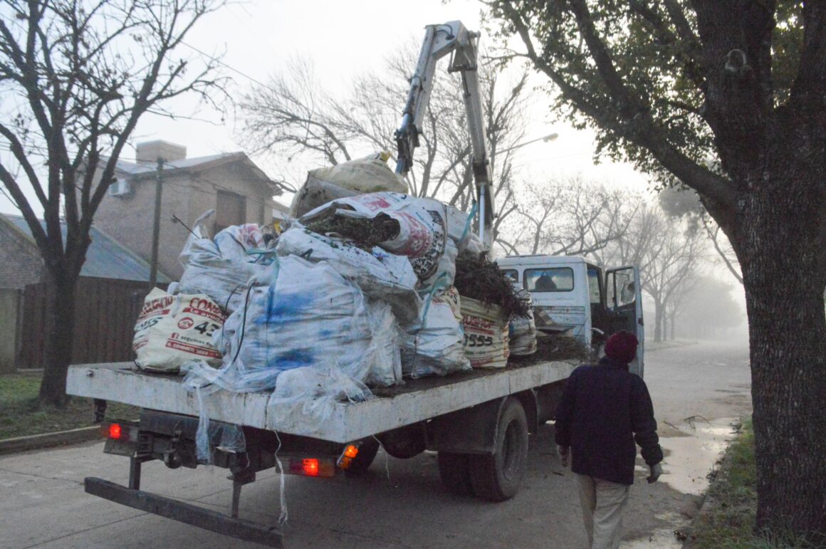 Recolección de residuos verdes- Zona 4 Recolección de residuos verdes- Zona 4