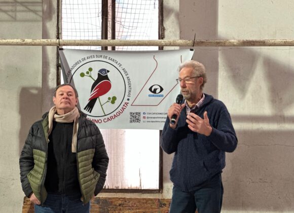 Actividad proteccionista sobre aves de la reserva El Hinojo en la Feria Dominguera