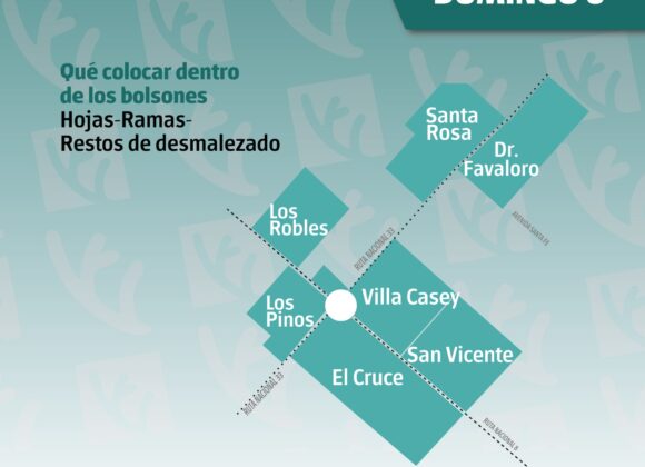 Recolección de residuos verdes Zona 1 domingo 6 de julio