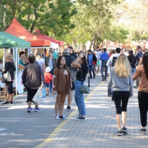 La feria dominguera vuelve al Parque Municipal General Belgrano