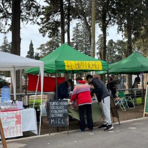 “Venite al Parque”: la feria dominguera volvió con todo al Parque Municipal General Belgrano