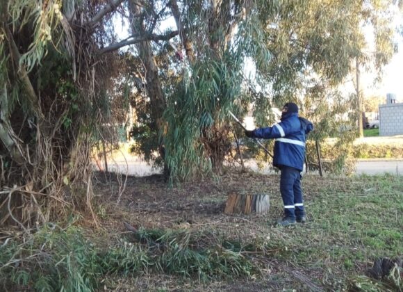Poda y bacheo en el predio ruralista, de cara a la realización de Expovenado 2025