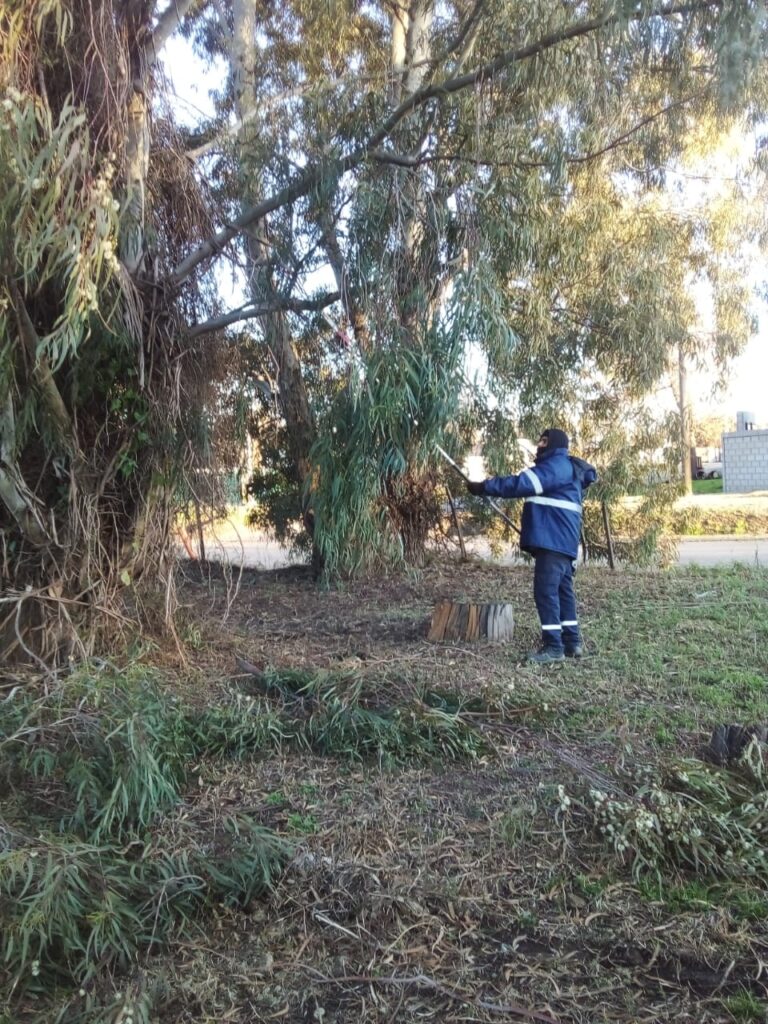 Poda y bacheo en el predio ruralista, de cara a la realización de Expovenado 2025