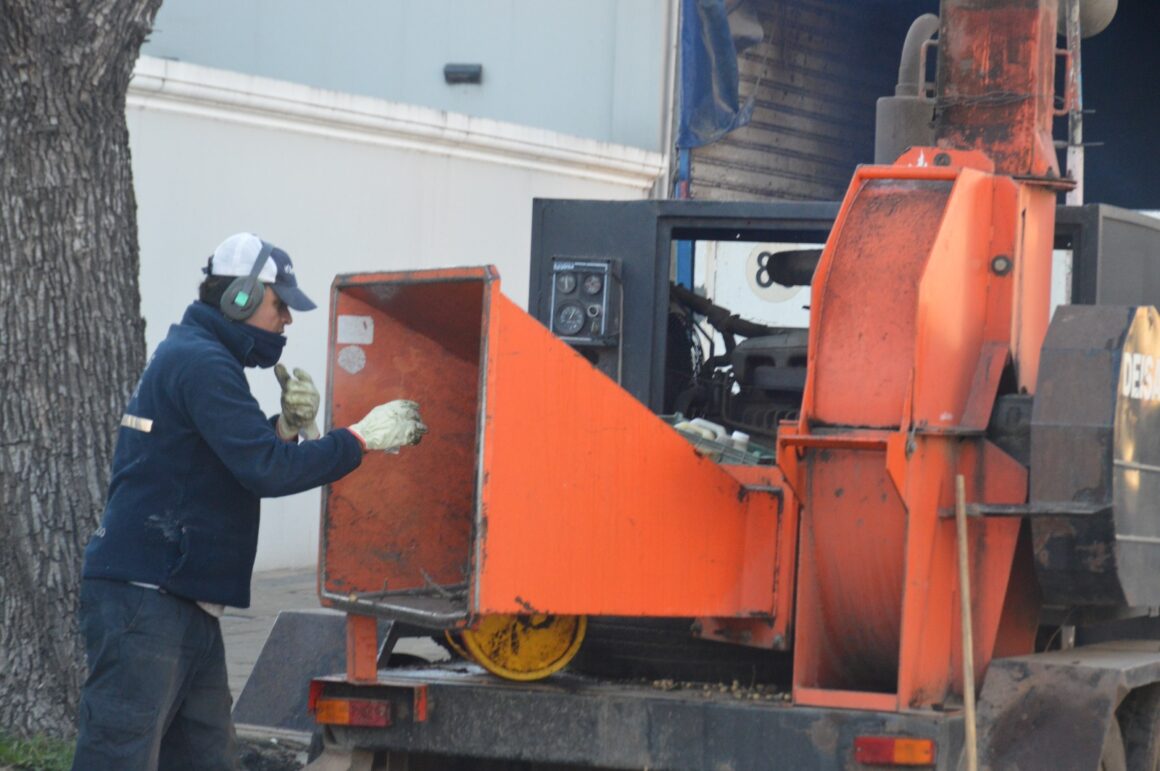 Ciudad ordenada: intenso trabajo de poda, desmalezado y limpieza en distintos espacios públicos