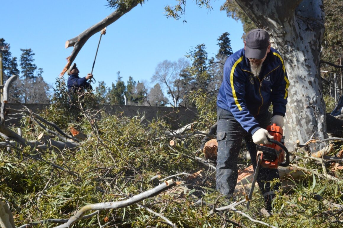 Espacios Públicos atiende consecuencias del temporal de la víspera Espacios Públicos atiende consecuencias del temporal de la víspera