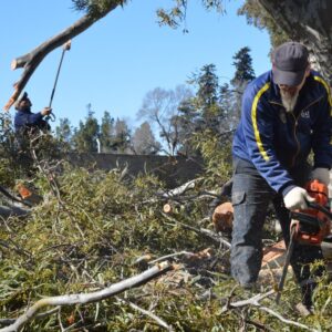 Espacios Públicos atiende consecuencias del temporal de la víspera