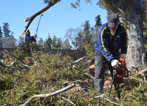 Espacios Públicos atiende consecuencias del temporal de la víspera