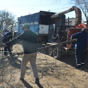 Refuerzo en las tareas de poda y desmalezado en distintos puntos de la ciudad