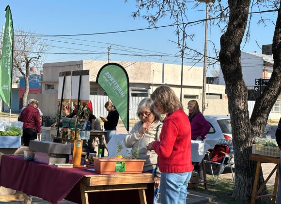 “Huerteros en tu Barrio” despidió agosto en Plaza de la Democracia
