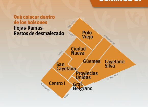 Recolección de residuos verdes Zona 3, domingo 17 de agosto