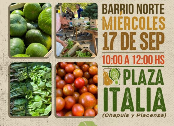 Productos de calidad: Los “Huerteros en tu Barrio” vuelven este miércoles a plaza Italia