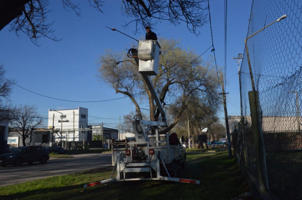 Intervención con poda en altura sobre avenida Jorge Newbery