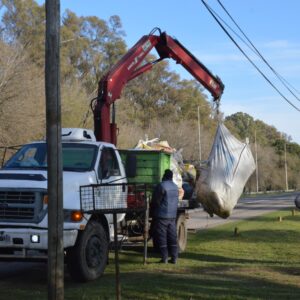 Recolección de residuos verdes- Zona 4 Recolección de residuos verdes- Zona 4