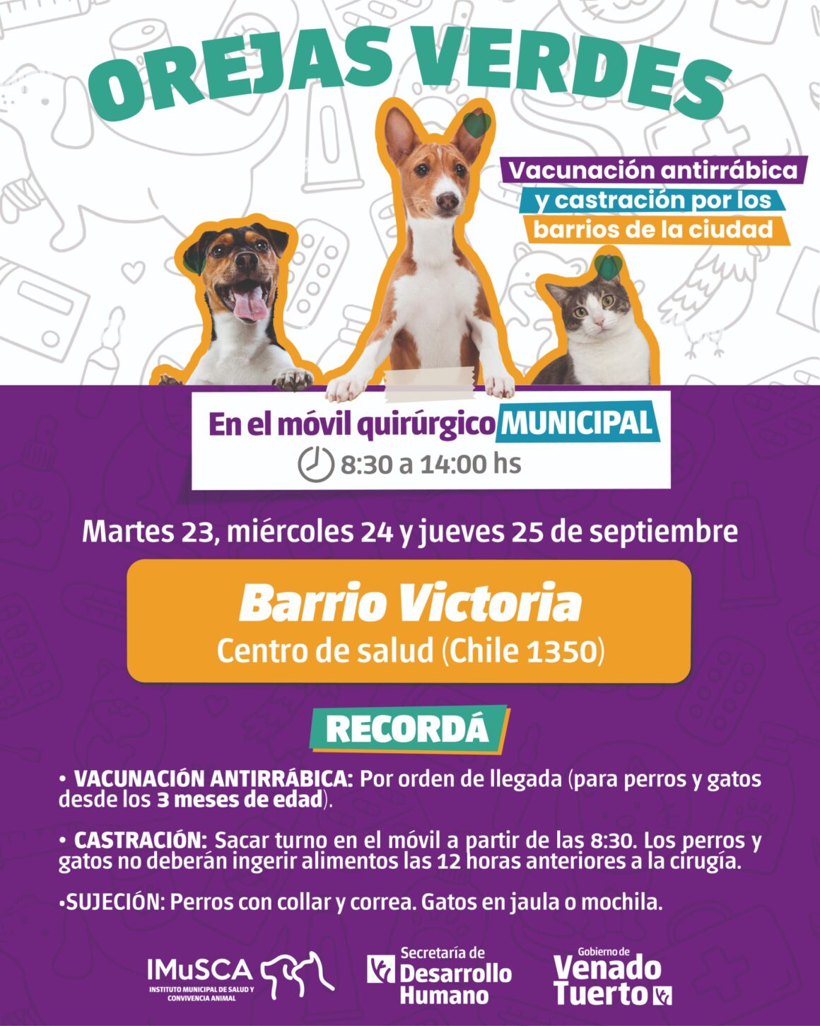 «Orejas Verdes»: El Móvil Quirúrgico realizará vacunación antirrábica y castraciones en barrio Victoria
