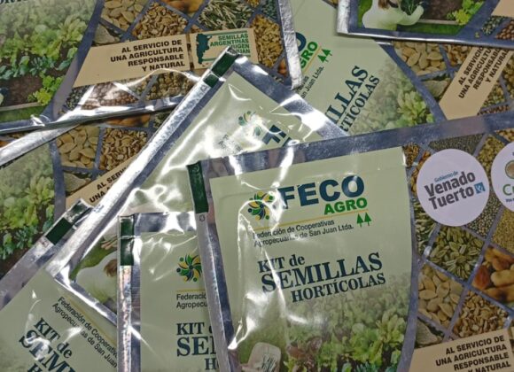 Entrega de semillas de estación y capacitación hortícola para recibir la primavera