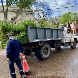 El Gobierno de Venado Tuerto coordina trabajos por los fuertes vientos El Gobierno de Venado Tuerto coordina trabajos por los fuertes vientos