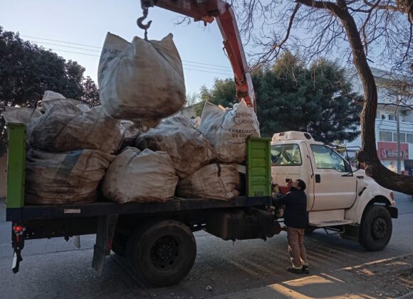 Recolección de residuos verdes para la zona 1
