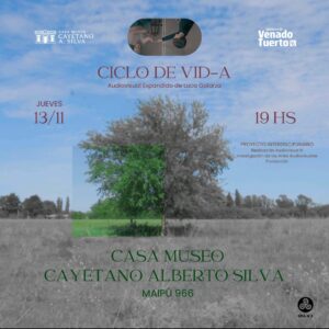 Cine en la Casa Museo: Luca Galarza presenta su audiovisual expandido “Ciclo de VID-a”
