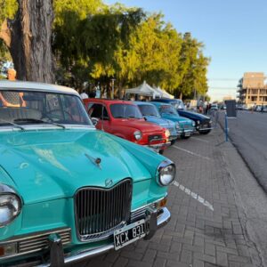 Gran respuesta de público para el paseo de la ciudad con el “Venado Escanea”