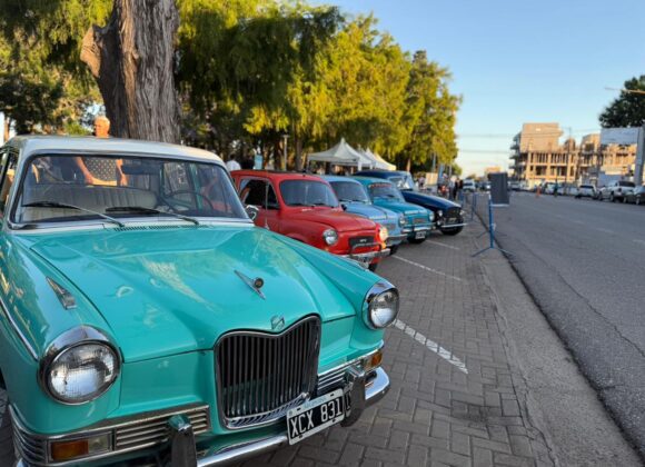 Gran respuesta de público para el paseo de la ciudad con el “Venado Escanea”