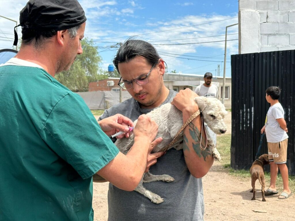Salud animal en territorio: “Orejas Verdes” en barrio Santa Fe con 76 vacunaciones y 23 castraciones