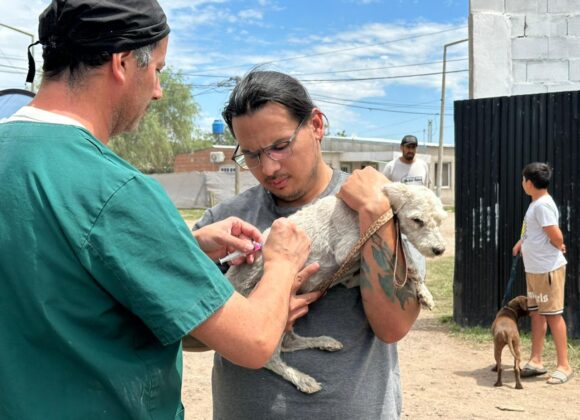 Salud animal en territorio: “Orejas Verdes” en barrio Santa Fe con 76 vacunaciones y 23 castraciones