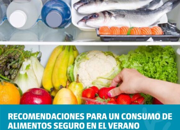 Recomendaciones para la conservación de alimentos ante las altas temperaturas