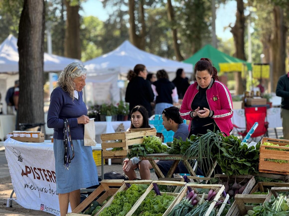 Miércoles de diciembre con feria huertera y ecocanje en plaza Italia