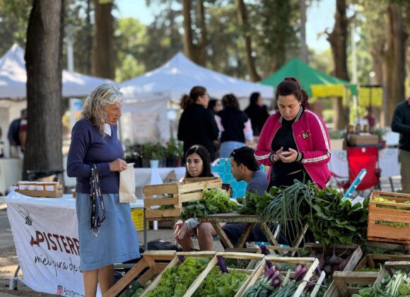 Miércoles de diciembre con feria huertera y ecocanje en plaza Italia