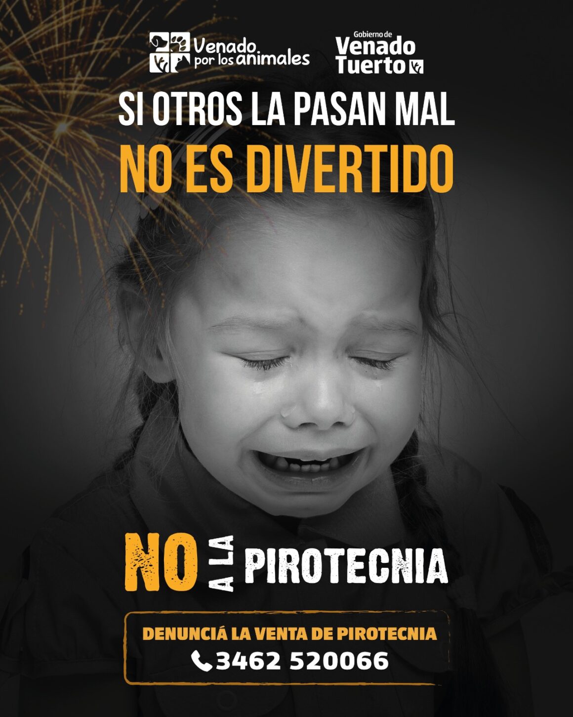 “Si Otros La Pasan Mal, No Es Divertido”: Digamos No a la Pirotecnia “Si Otros La Pasan Mal, No Es Divertido”: Digamos No a la Pirotecnia