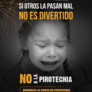 “Si Otros La Pasan Mal, No Es Divertido”: Digamos No a la Pirotecnia “Si Otros La Pasan Mal, No Es Divertido”: Digamos No a la Pirotecnia